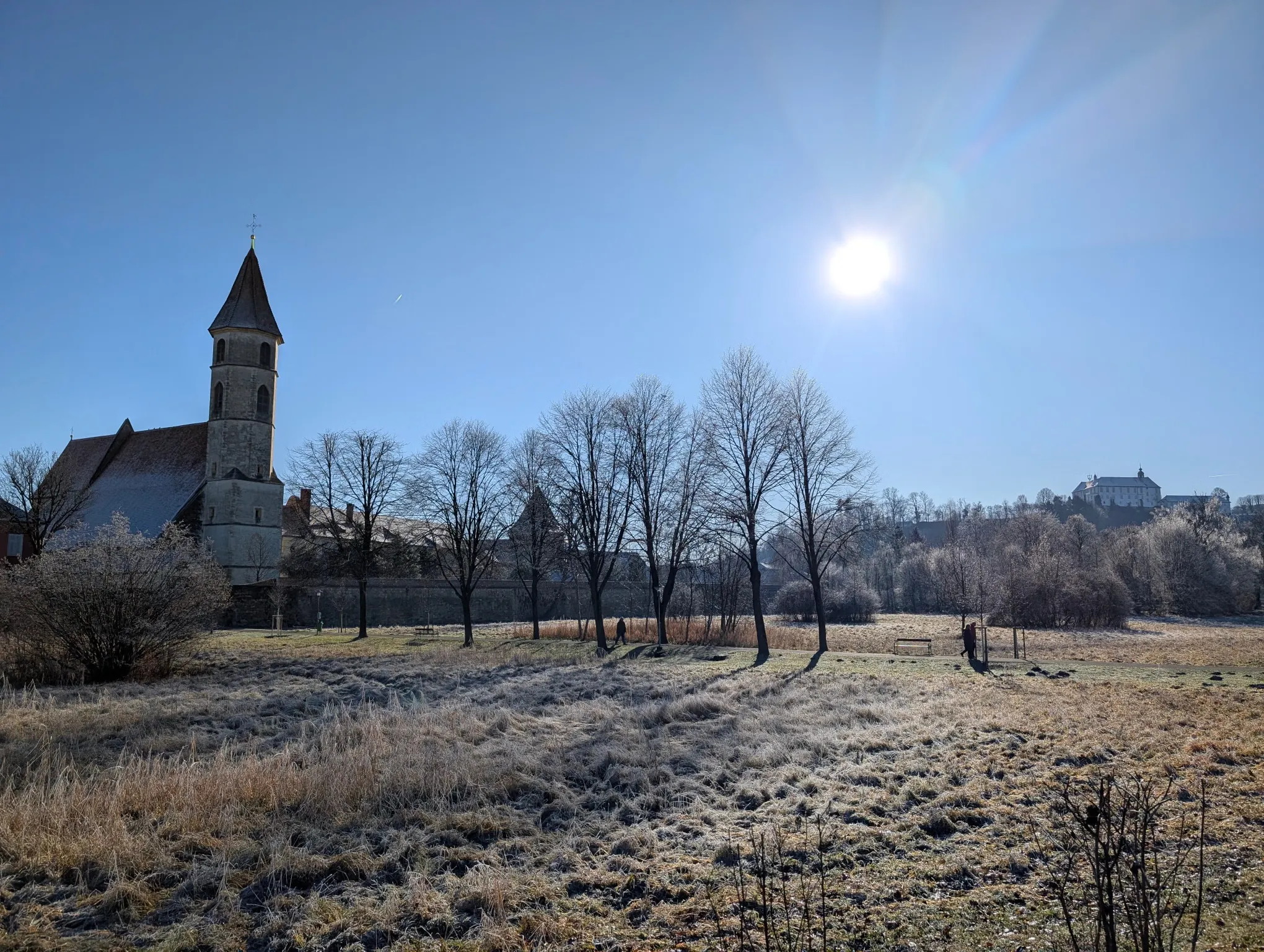 Raureif an der Allee in Bad Radkersburg