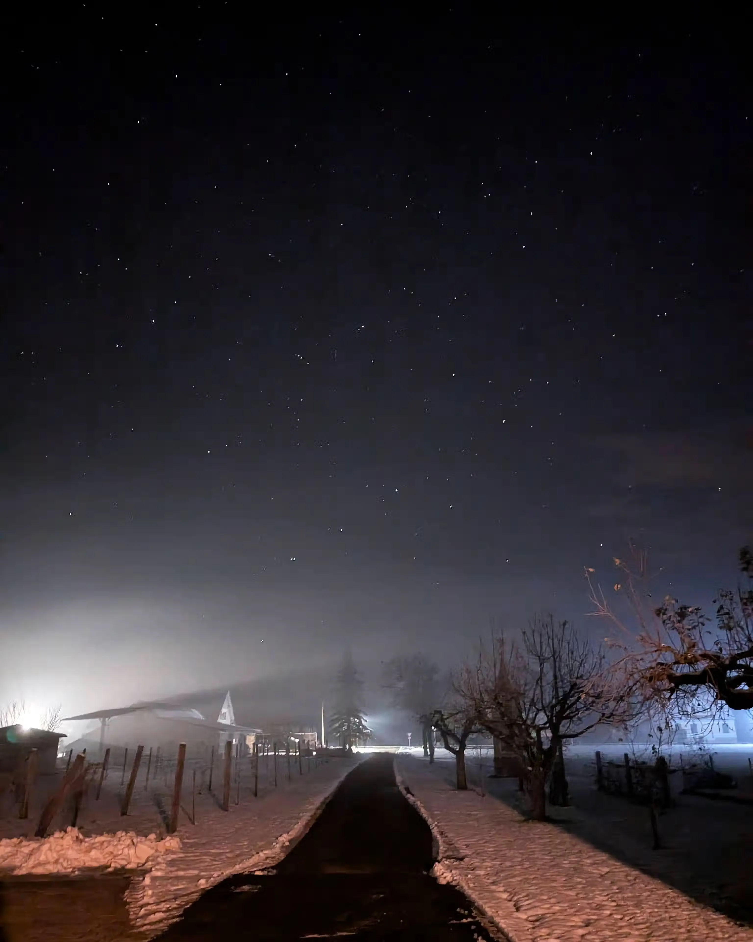 Sternenhimmel über der winterlichen Landschaft